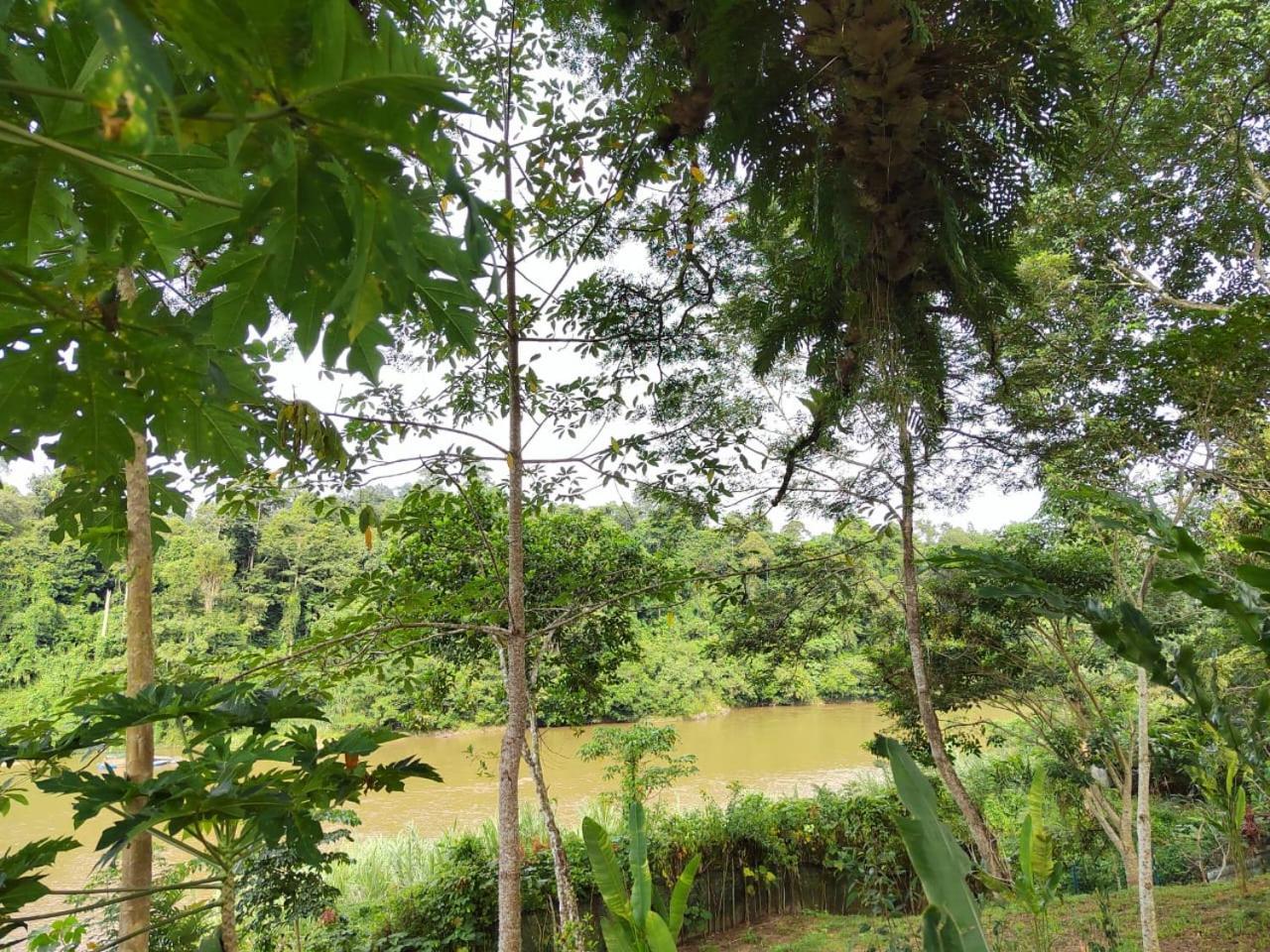 Guest house Balai Serama