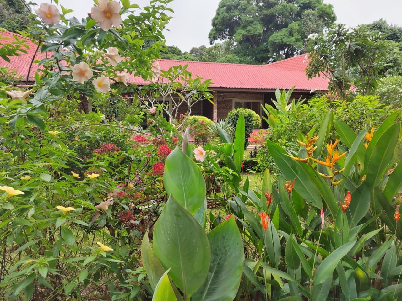 Balai Serama Guest house Kuala Tahan